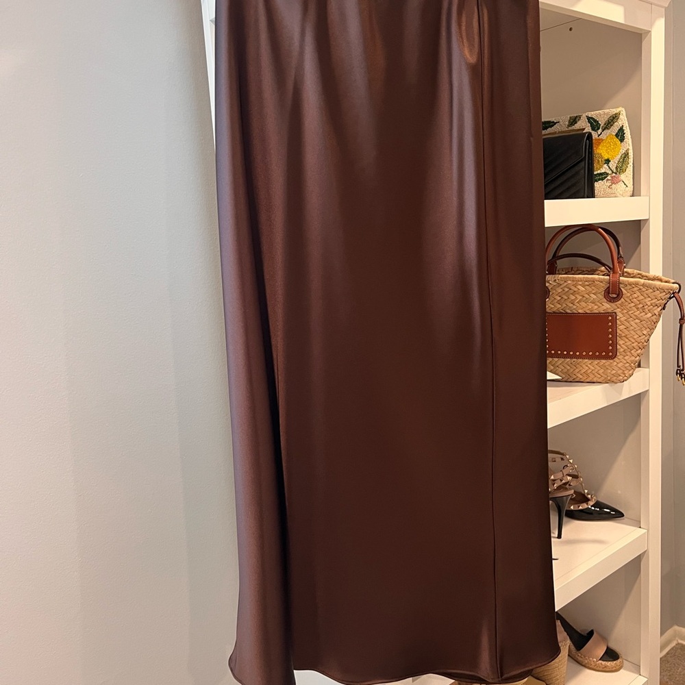 Zara Brown Maxi Skirt for Casual Work